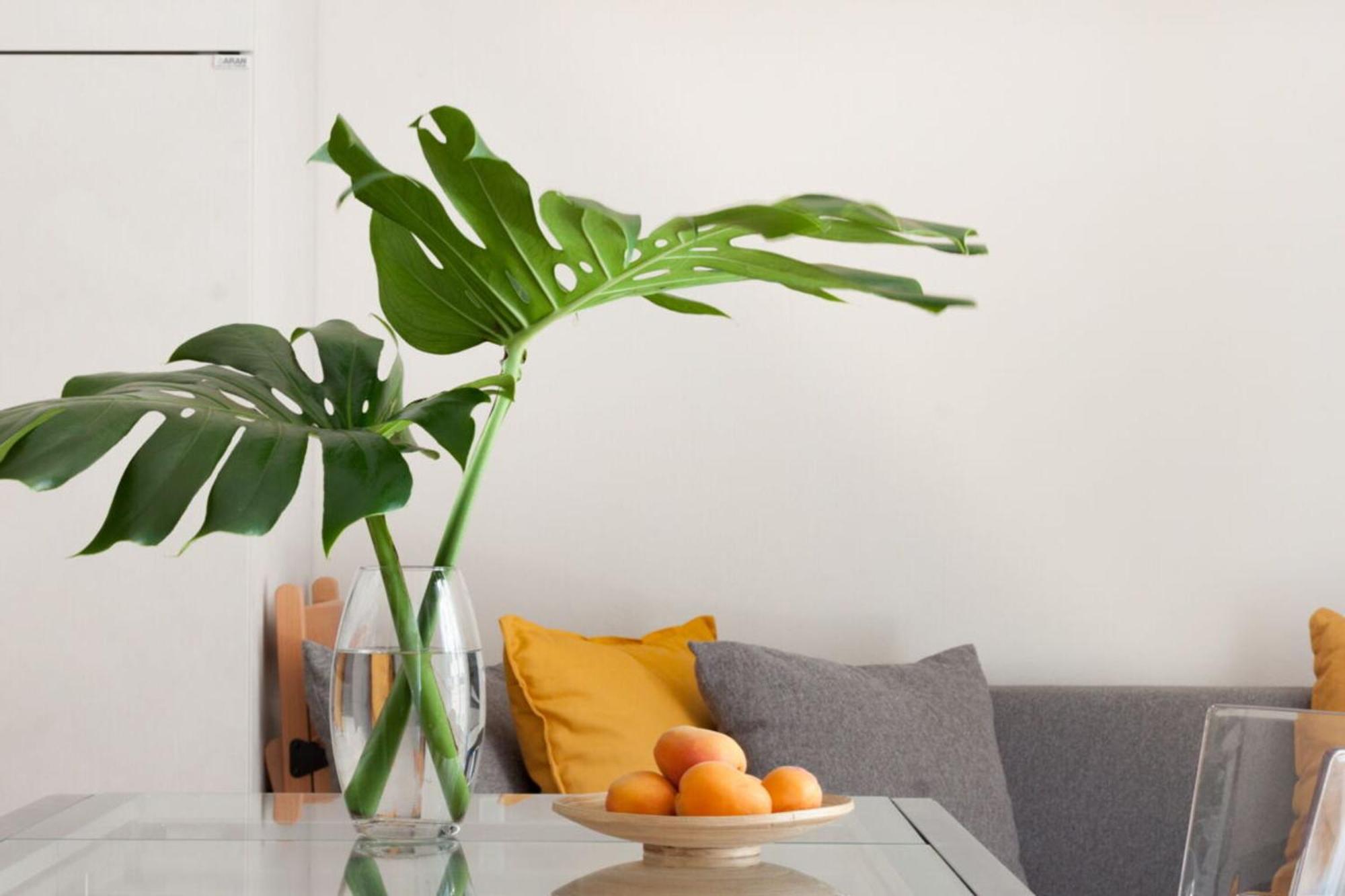 Italian Experience-Lungarno Suite Apartment Floransa Dış mekan fotoğraf